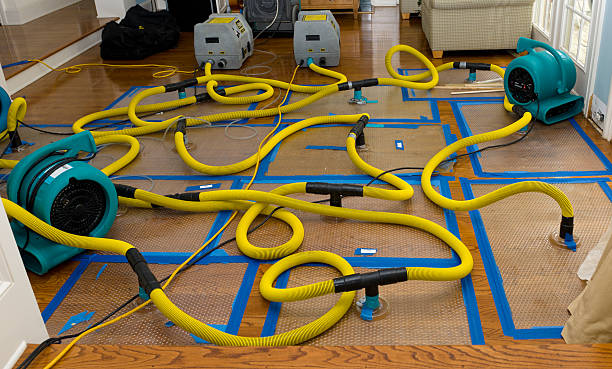 Professional Water Extraction technician working in Alma, MO